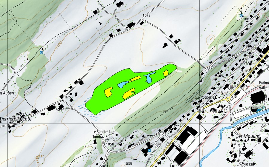 Landeskarte swisstopo mit dem Schutzperimeter von Derrière la Côte, sud-est (Hochmoor)