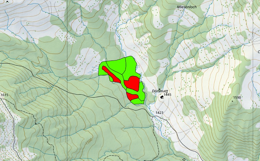 swisstopo national map showing the protected perimeter of Dörsmatt (Raised bog)