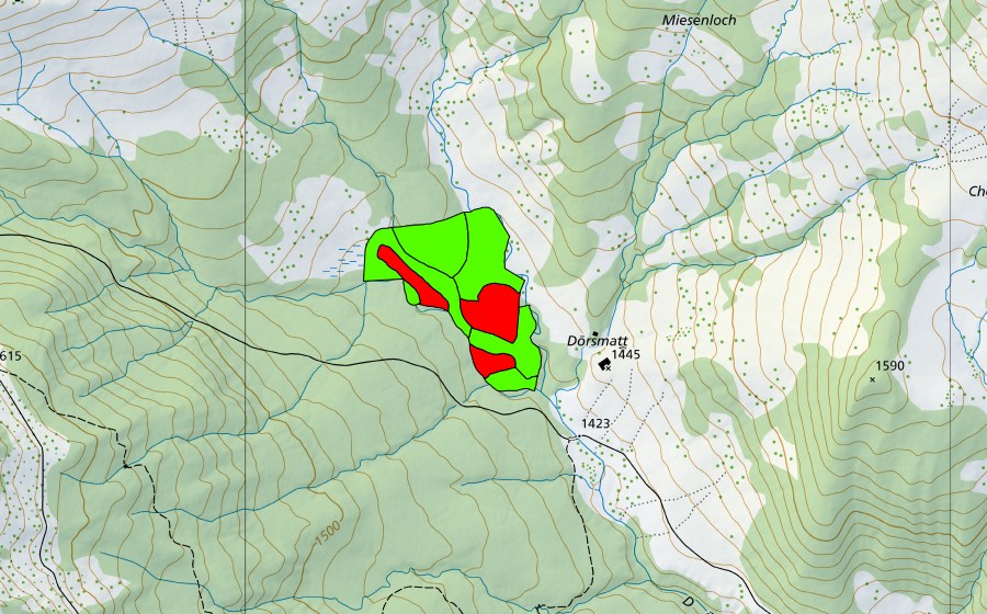 swisstopo national map showing the protected perimeter of Dörsmatt (Raised bog)