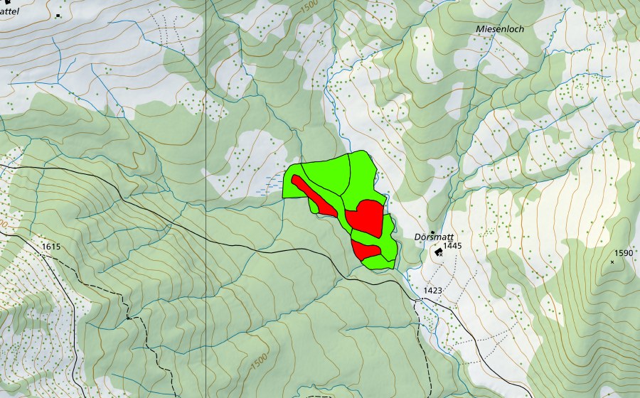 swisstopo national map showing the protected perimeter of Dörsmatt (Raised bog)
