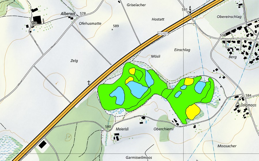 Landeskarte swisstopo mit dem Schutzperimeter von Düdingermoos (Hochmoor)