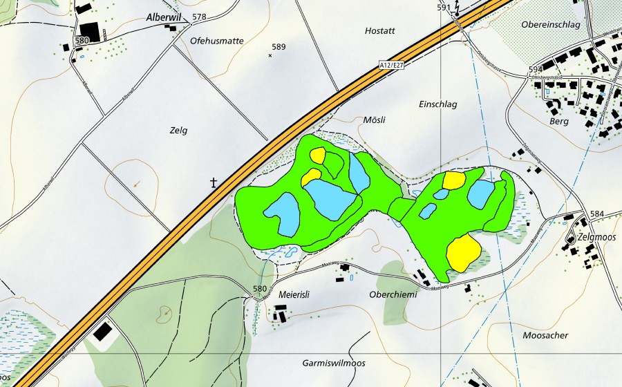 Landeskarte swisstopo mit dem Schutzperimeter von Düdingermoos (Hochmoor)