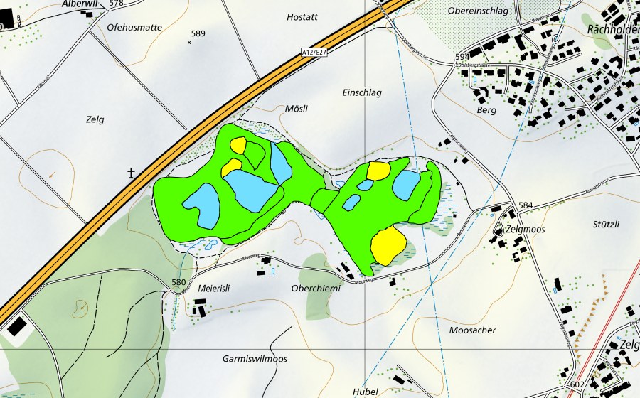 swisstopo national map showing the protected perimeter of Düdingermoos (Raised bog)