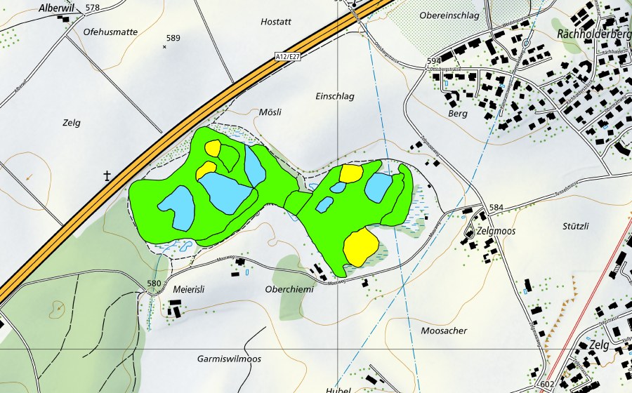 Carte nationale swisstopo avec le périmètre protégé de Düdingermoos (Haut-marais)