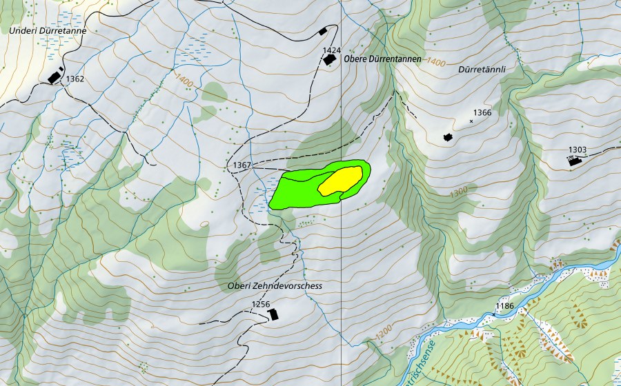 Landeskarte swisstopo mit dem Schutzperimeter von Dürrentännli (Hochmoor)