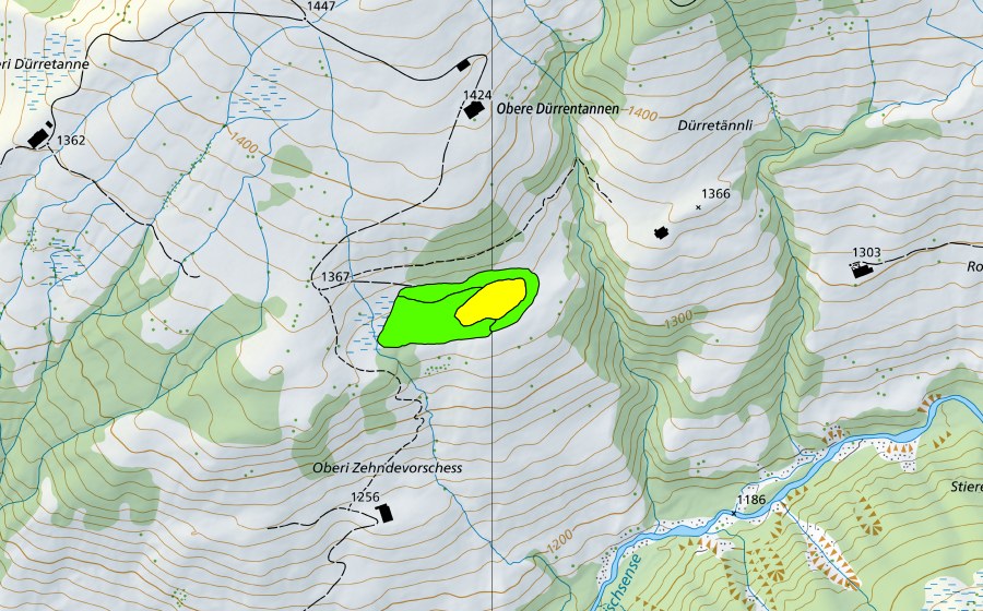 Landeskarte swisstopo mit dem Schutzperimeter von Dürrentännli (Hochmoor)