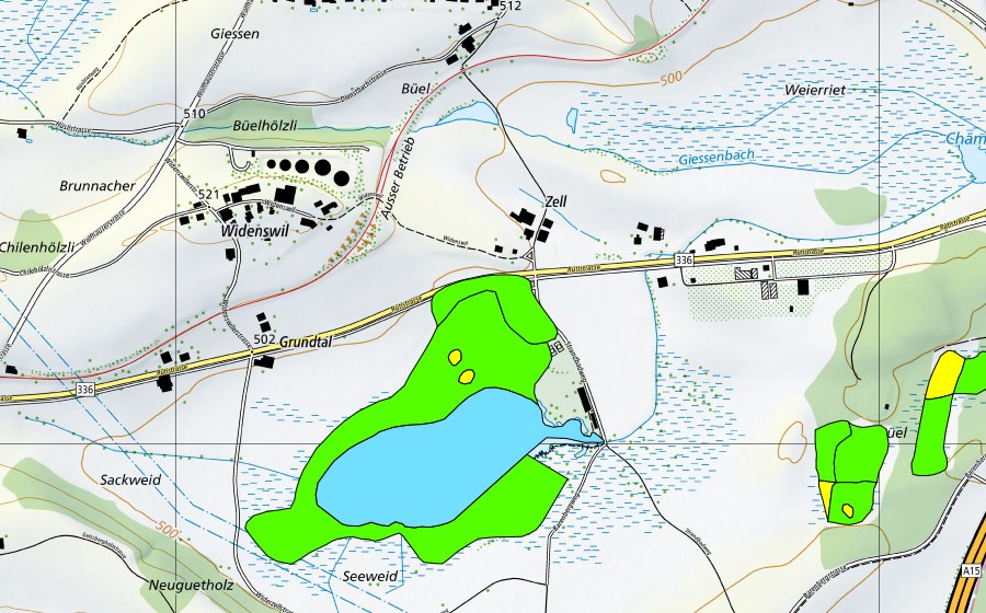 Landeskarte swisstopo mit dem Schutzperimeter von Egelsee (Hochmoor)