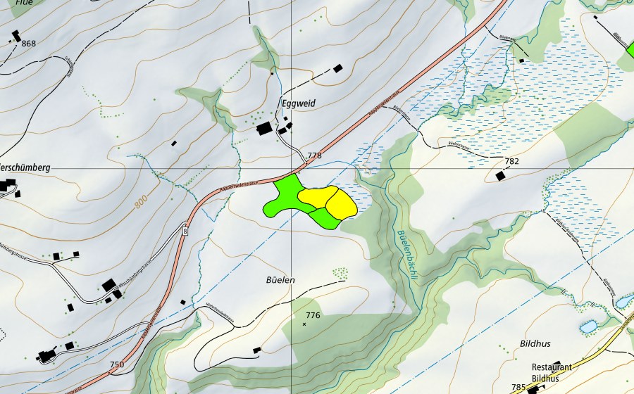 Carte nationale swisstopo avec le périmètre protégé de Eggweid auf dem Ricken (Haut-marais)