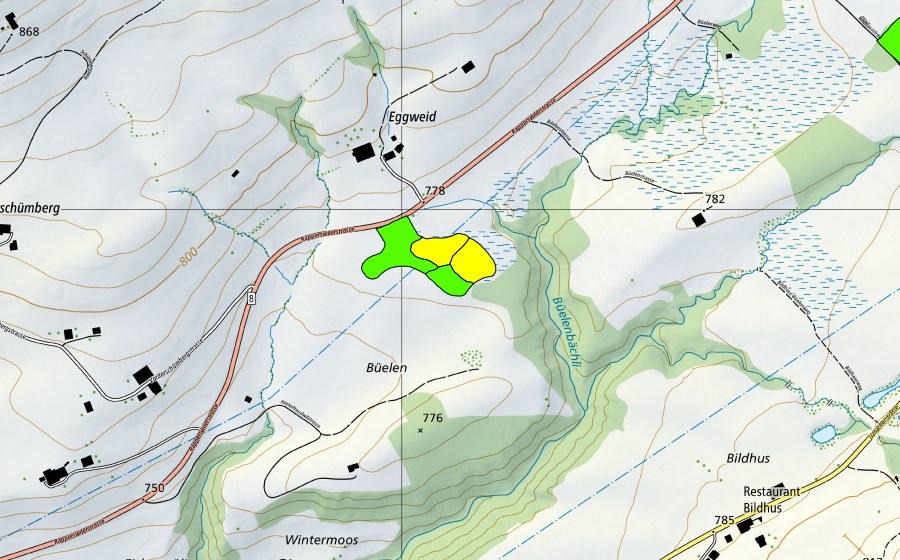 Landeskarte swisstopo mit dem Schutzperimeter von Eggweid auf dem Ricken (Hochmoor)