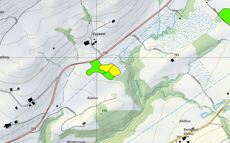 Landeskarte swisstopo mit dem Schutzperimeter von Eggweid auf dem Ricken (Hochmoor)