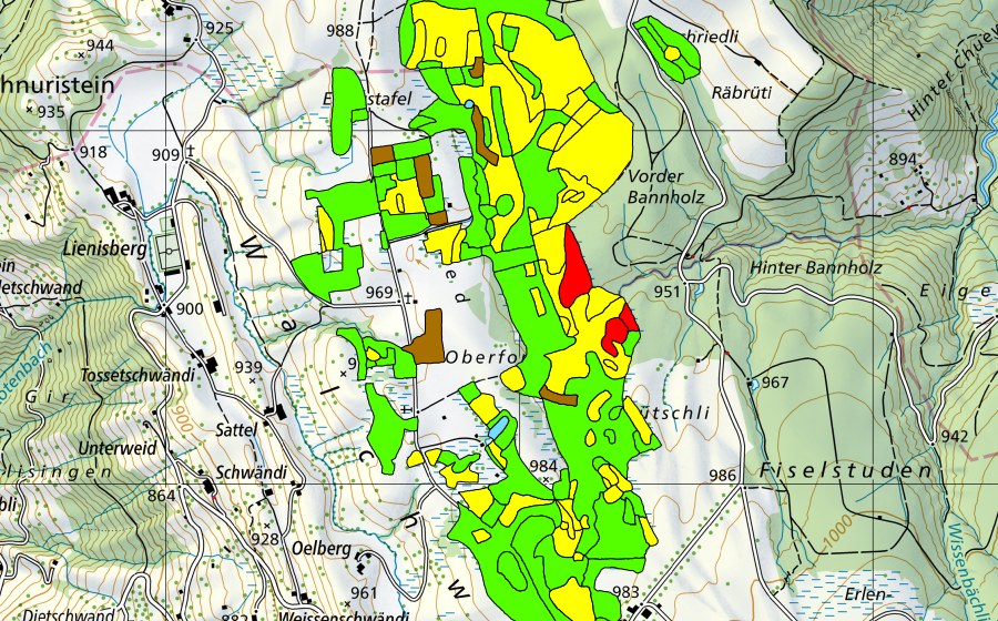 Landeskarte swisstopo mit dem Schutzperimeter von Eigenried/Birchried/Kellersforen/Früebüelmoos (Hochmoor)