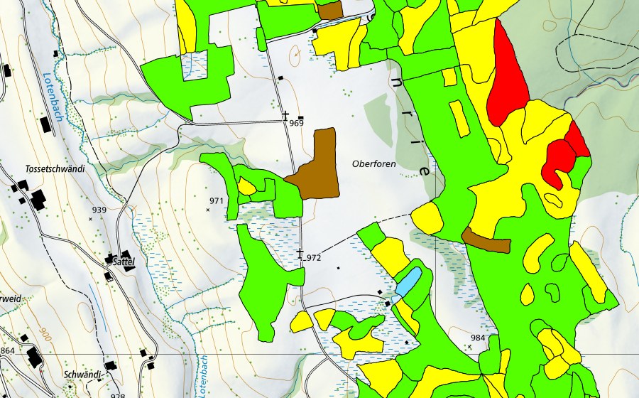 Landeskarte swisstopo mit dem Schutzperimeter von Eigenried/Birchried/Kellersforen/Früebüelmoos (Hochmoor)