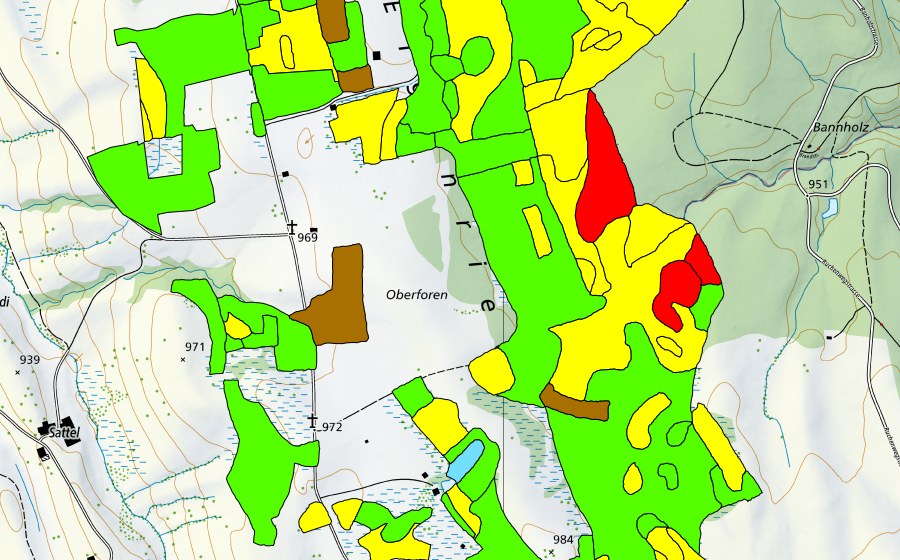 Landeskarte swisstopo mit dem Schutzperimeter von Eigenried/Birchried/Kellersforen/Früebüelmoos (Hochmoor)