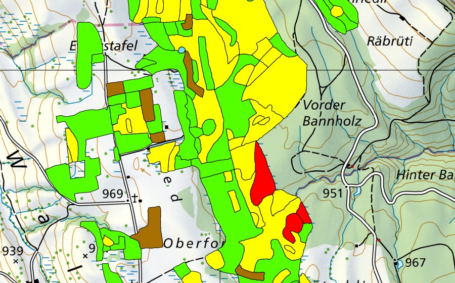 swisstopo national map showing the protected perimeter of Eigenried/Birchried/Kellersforen/Früebüelmoos (Raised bog)