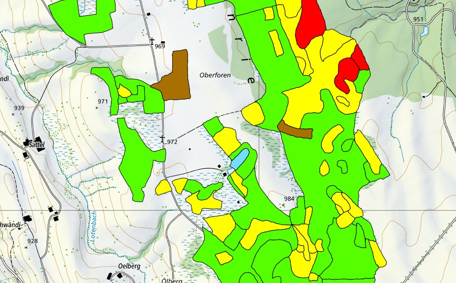 swisstopo national map showing the protected perimeter of Eigenried/Birchried/Kellersforen/Früebüelmoos (Raised bog)