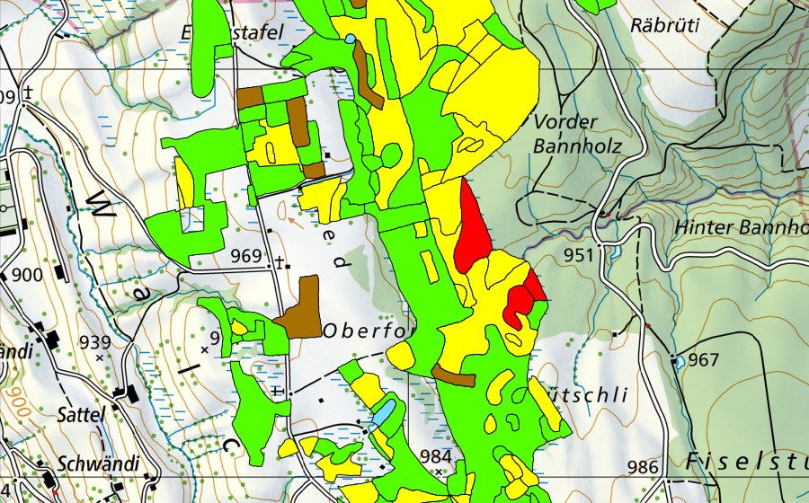 Carte nationale swisstopo avec le périmètre protégé de Eigenried/Birchried/Kellersforen/Früebüelmoos (Haut-marais)