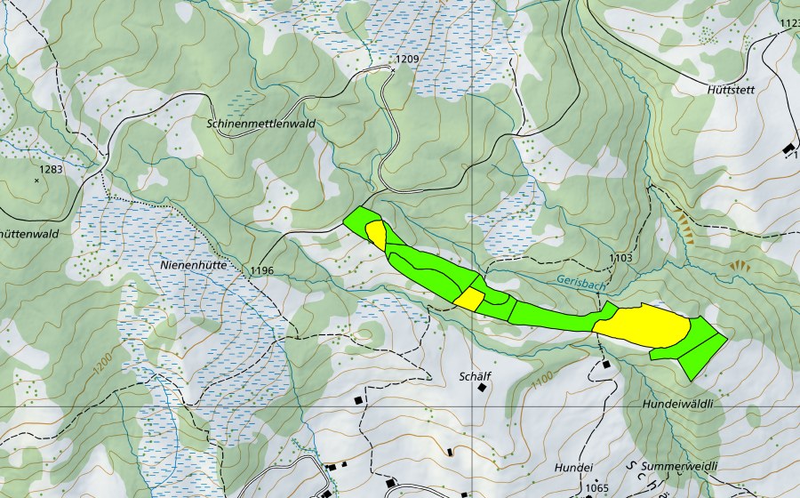 Landeskarte swisstopo mit dem Schutzperimeter von Fangboden (Hochmoor)