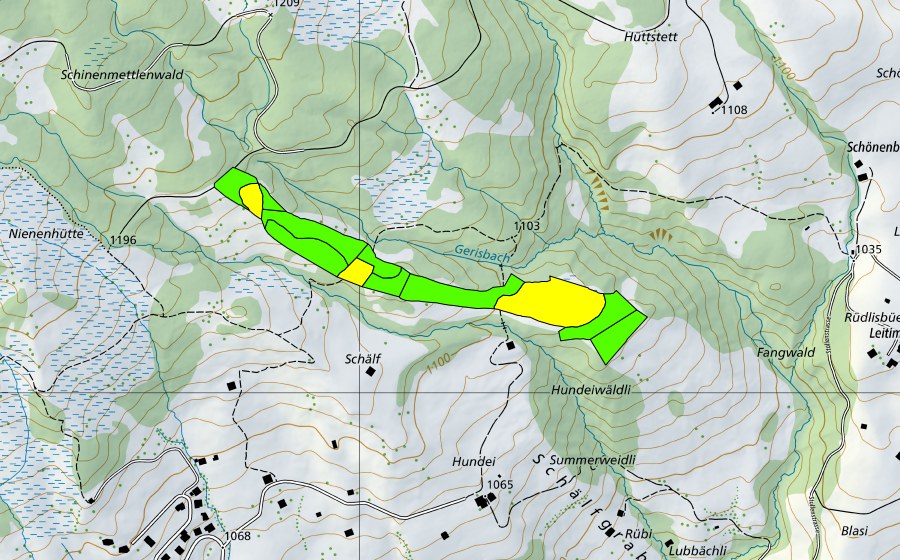 Carte nationale swisstopo avec le périmètre protégé de Fangboden (Haut-marais)