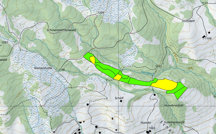 Landeskarte swisstopo mit dem Schutzperimeter von Fangboden (Hochmoor)