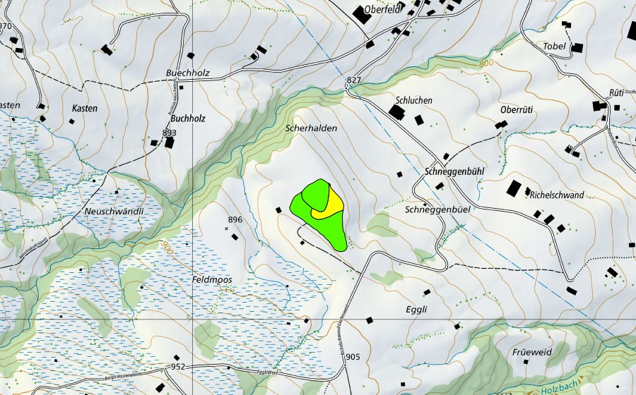 Carte nationale swisstopo avec le périmètre protégé de Feldmoos (Haut-marais)