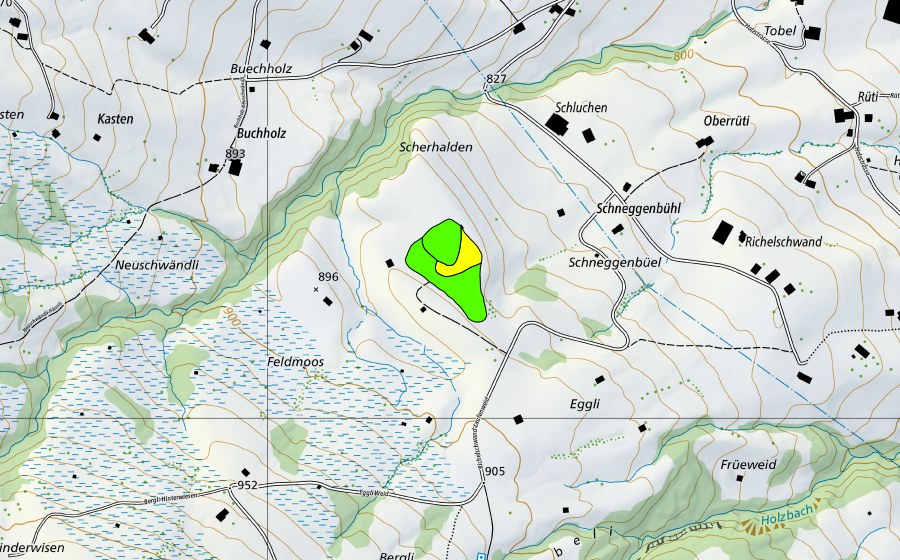 swisstopo national map showing the protected perimeter of Feldmoos (Raised bog)