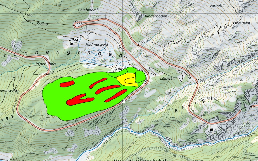 Landeskarte swisstopo mit dem Schutzperimeter von Feldmoos/Moore auf dem Feldmooshubel (Hochmoor)