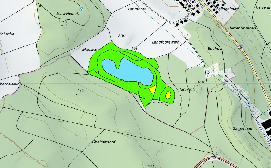 Landeskarte swisstopo mit dem Schutzperimeter von Fischbacher Moos (Hochmoor)