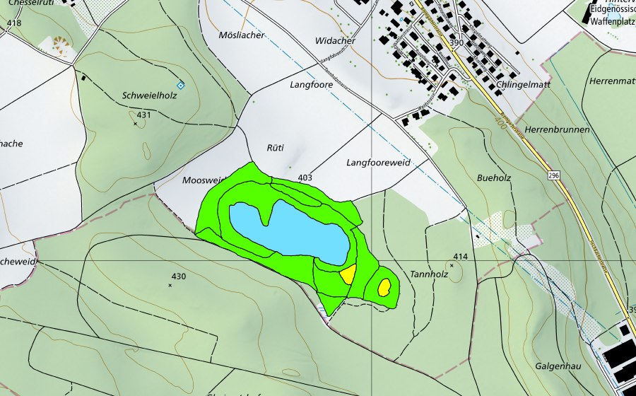 Carta nazionale swisstopo con il perimetro protetto di Fischbacher Moos (Torbiera alta)