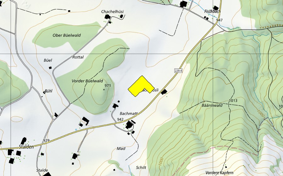 swisstopo national map showing the protected perimeter of Fischbachmoos/Obermoos (Raised bog)