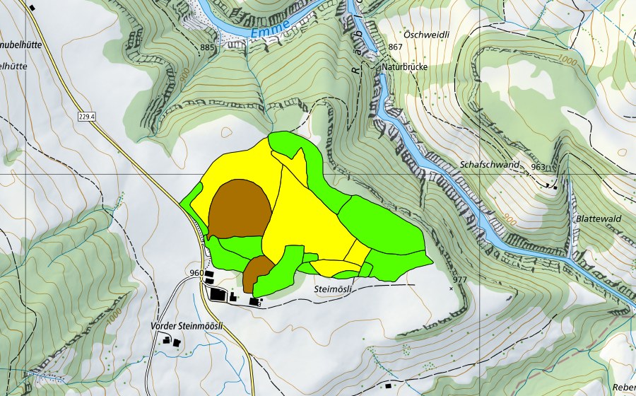swisstopo national map showing the protected perimeter of Flüegfääl/Steinmoos (Raised bog)
