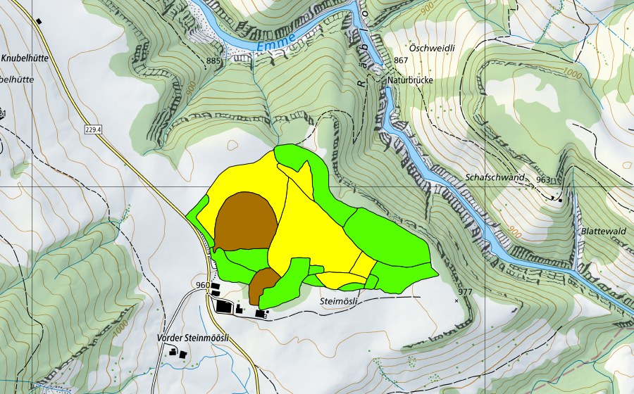 Landeskarte swisstopo mit dem Schutzperimeter von Flüegfääl/Steinmoos (Hochmoor)