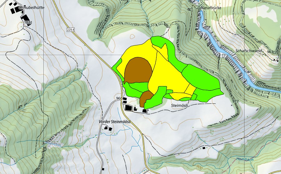 Landeskarte swisstopo mit dem Schutzperimeter von Flüegfääl/Steinmoos (Hochmoor)