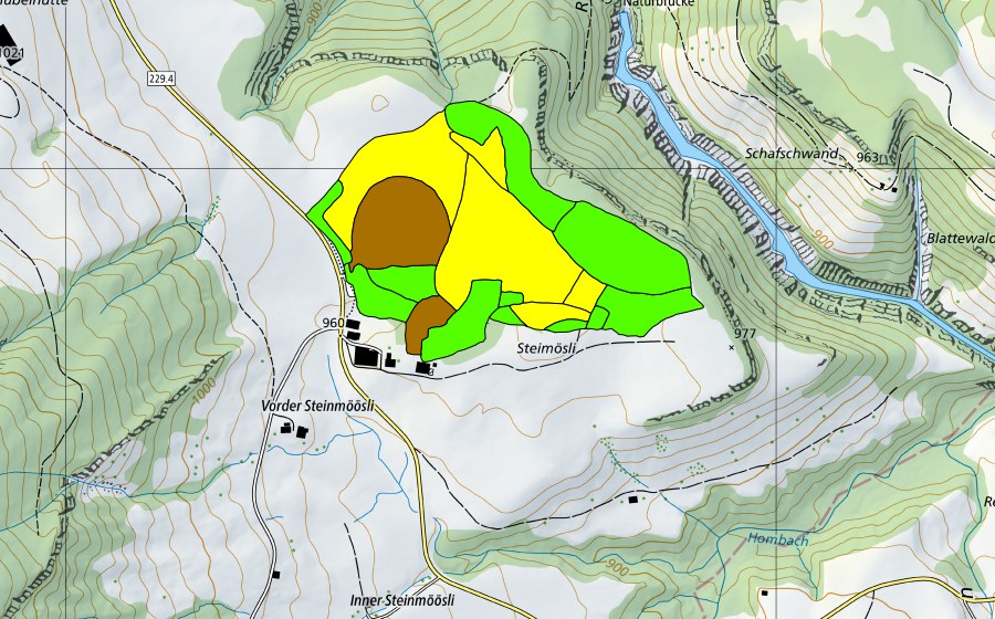 swisstopo national map showing the protected perimeter of Flüegfääl/Steinmoos (Raised bog)
