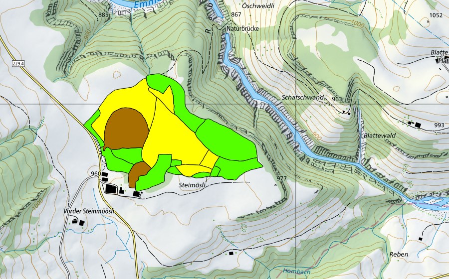 swisstopo national map showing the protected perimeter of Flüegfääl/Steinmoos (Raised bog)