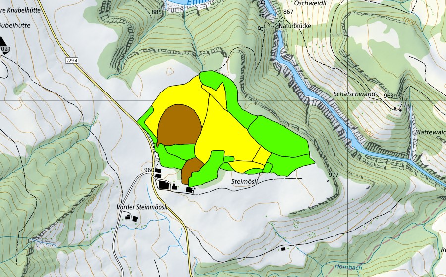 swisstopo national map showing the protected perimeter of Flüegfääl/Steinmoos (Raised bog)