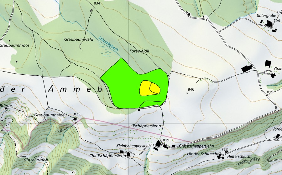 Landeskarte swisstopo mit dem Schutzperimeter von Forenmoos im Sigiger Wald (Hochmoor)
