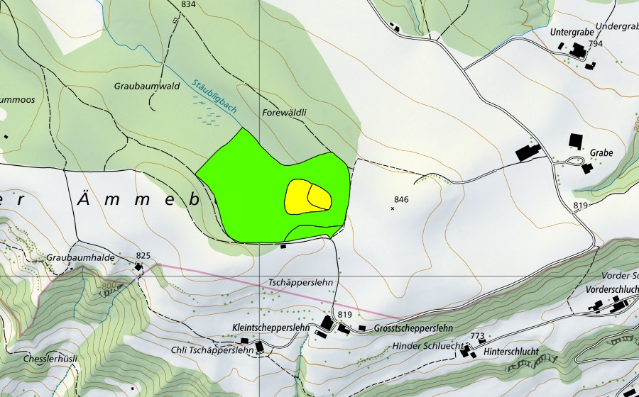 Landeskarte swisstopo mit dem Schutzperimeter von Forenmoos im Sigiger Wald (Hochmoor)