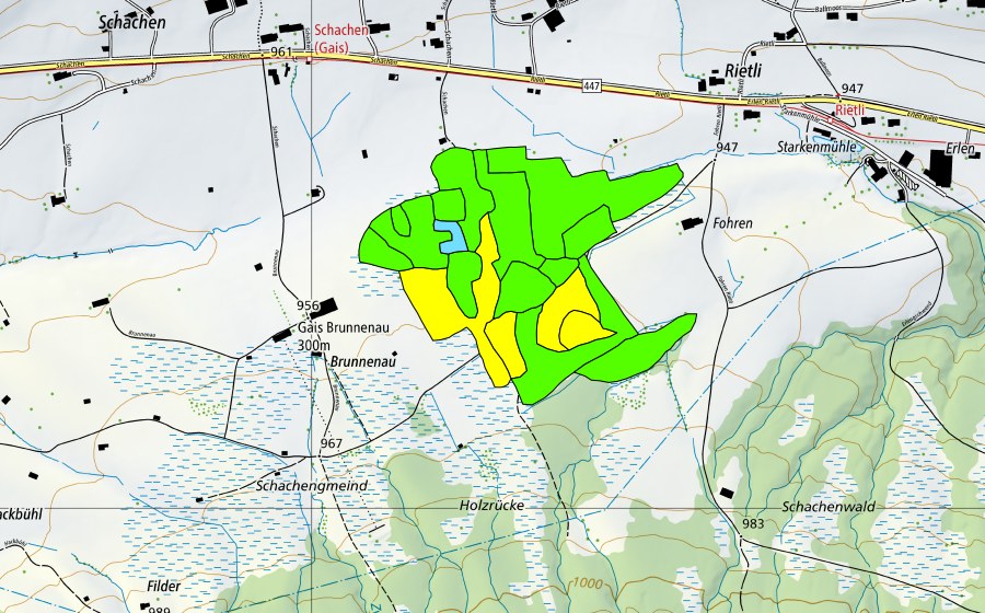 Carte nationale swisstopo avec le périmètre protégé de Forenmoos/Schachenmoos (Haut-marais)
