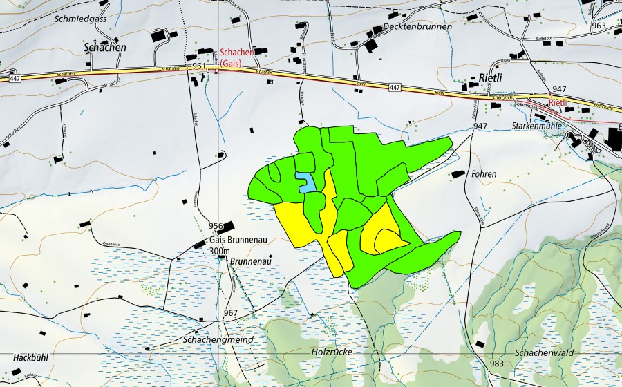 Landeskarte swisstopo mit dem Schutzperimeter von Forenmoos/Schachenmoos (Hochmoor)