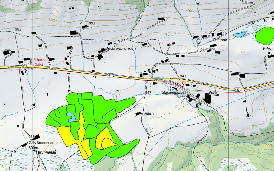 Landeskarte swisstopo mit dem Schutzperimeter von Forenmoos/Schachenmoos (Hochmoor)