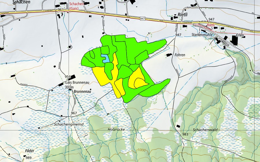 Landeskarte swisstopo mit dem Schutzperimeter von Forenmoos/Schachenmoos (Hochmoor)