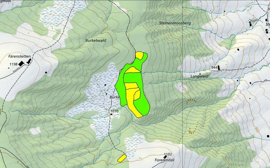 Landeskarte swisstopo mit dem Schutzperimeter von Forenmösli/Burketwald/Paradisli (Hochmoor)