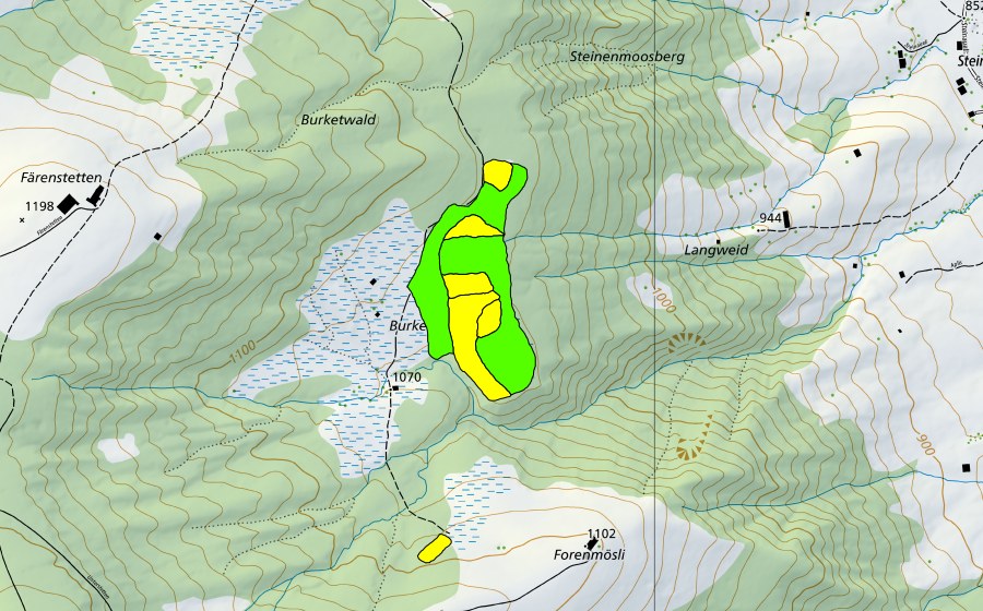 Landeskarte swisstopo mit dem Schutzperimeter von Forenmösli/Burketwald/Paradisli (Hochmoor)
