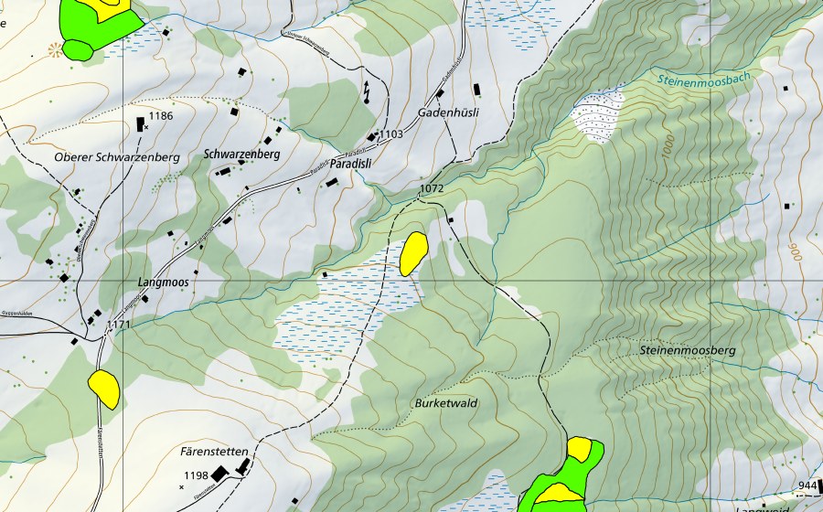 Carte nationale swisstopo avec le périmètre protégé de Forenmösli/Burketwald/Paradisli (Haut-marais)