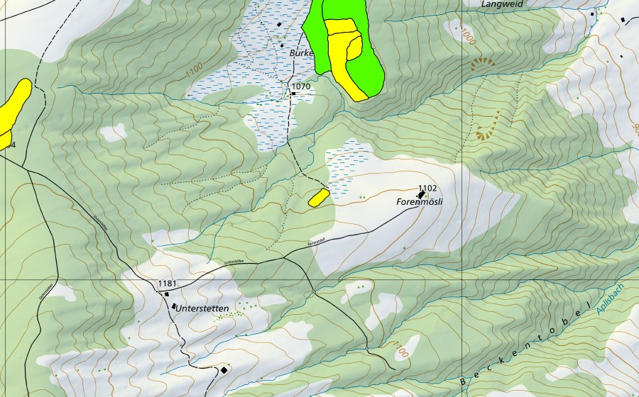 Landeskarte swisstopo mit dem Schutzperimeter von Forenmösli/Burketwald/Paradisli (Hochmoor)