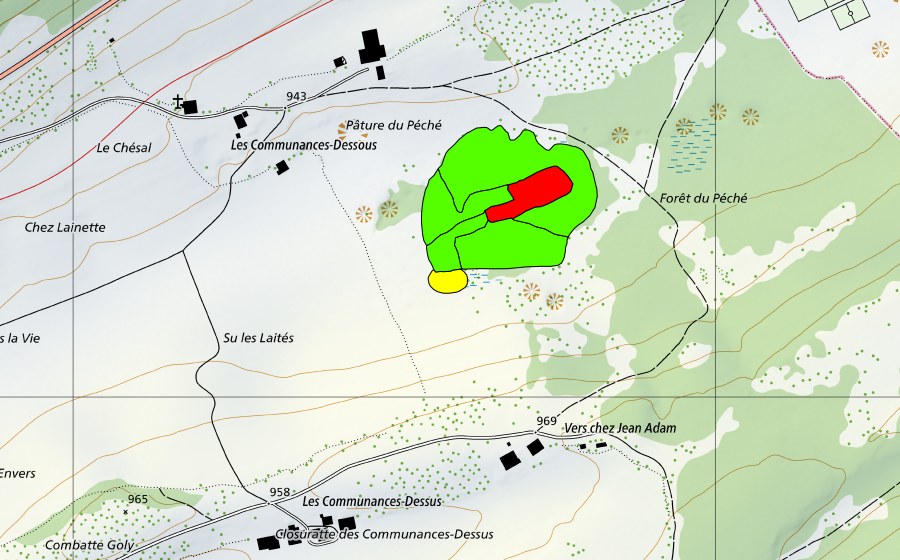 Landeskarte swisstopo mit dem Schutzperimeter von Forêt du Péché (Hochmoor)