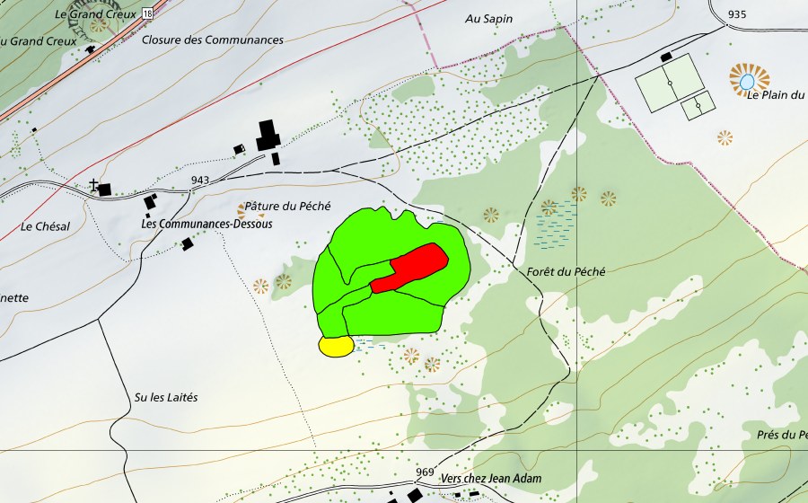 Carta nazionale swisstopo con il perimetro protetto di Forêt du Péché (Torbiera alta)