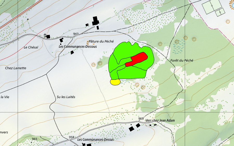 Landeskarte swisstopo mit dem Schutzperimeter von Forêt du Péché (Hochmoor)
