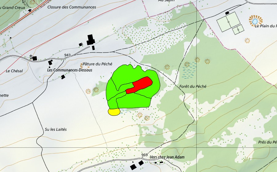 Carta nazionale swisstopo con il perimetro protetto di Forêt du Péché (Torbiera alta)