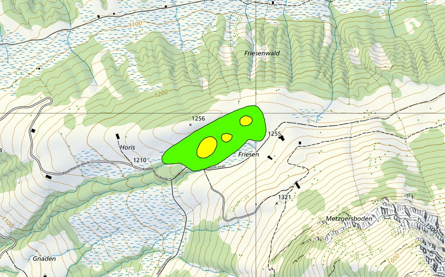Landeskarte swisstopo mit dem Schutzperimeter von Friessen (Hochmoor)
